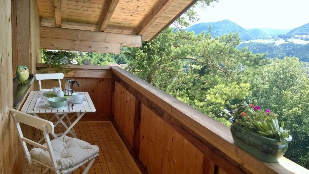 Appartement Kohlnberger Waidhofen an der Ybbs Zewnętrze zdjęcie