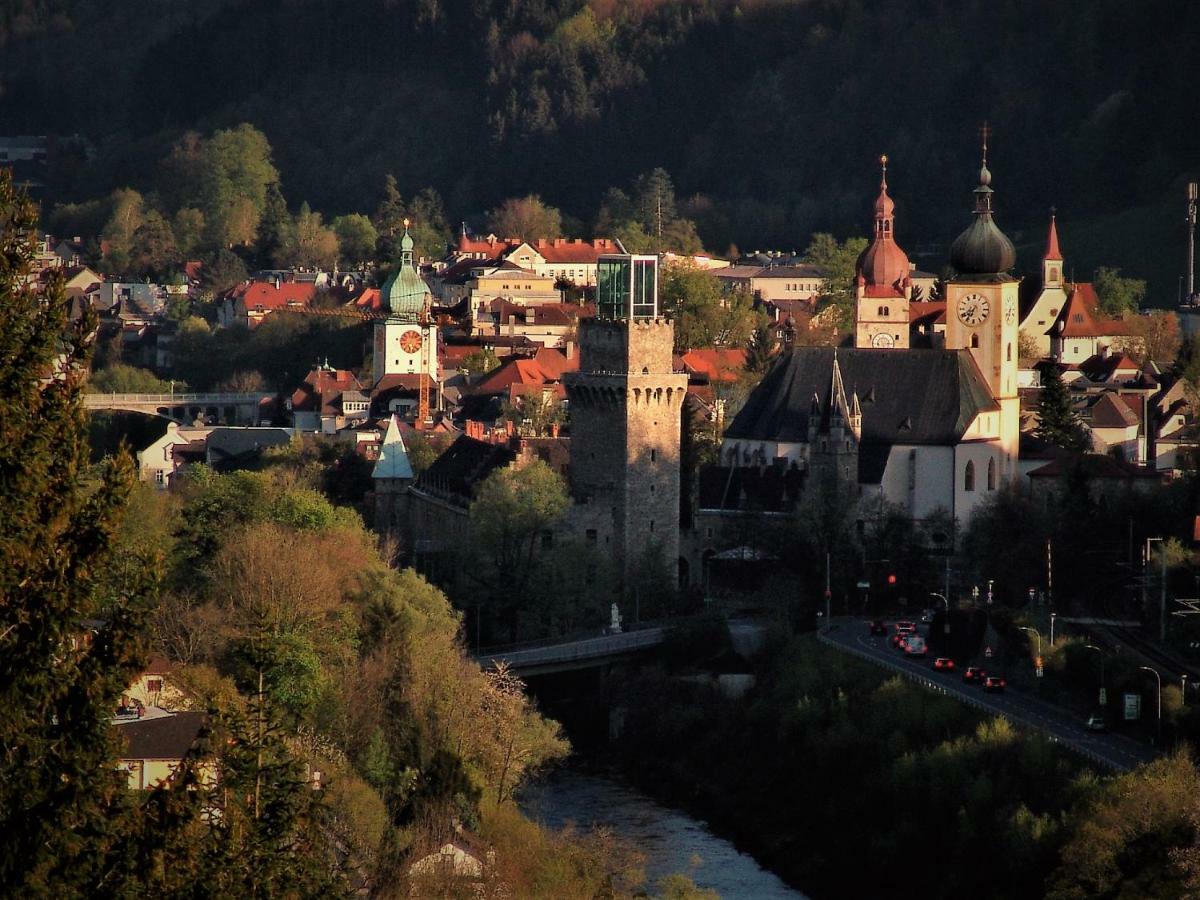 Appartement Kohlnberger Waidhofen an der Ybbs Zewnętrze zdjęcie