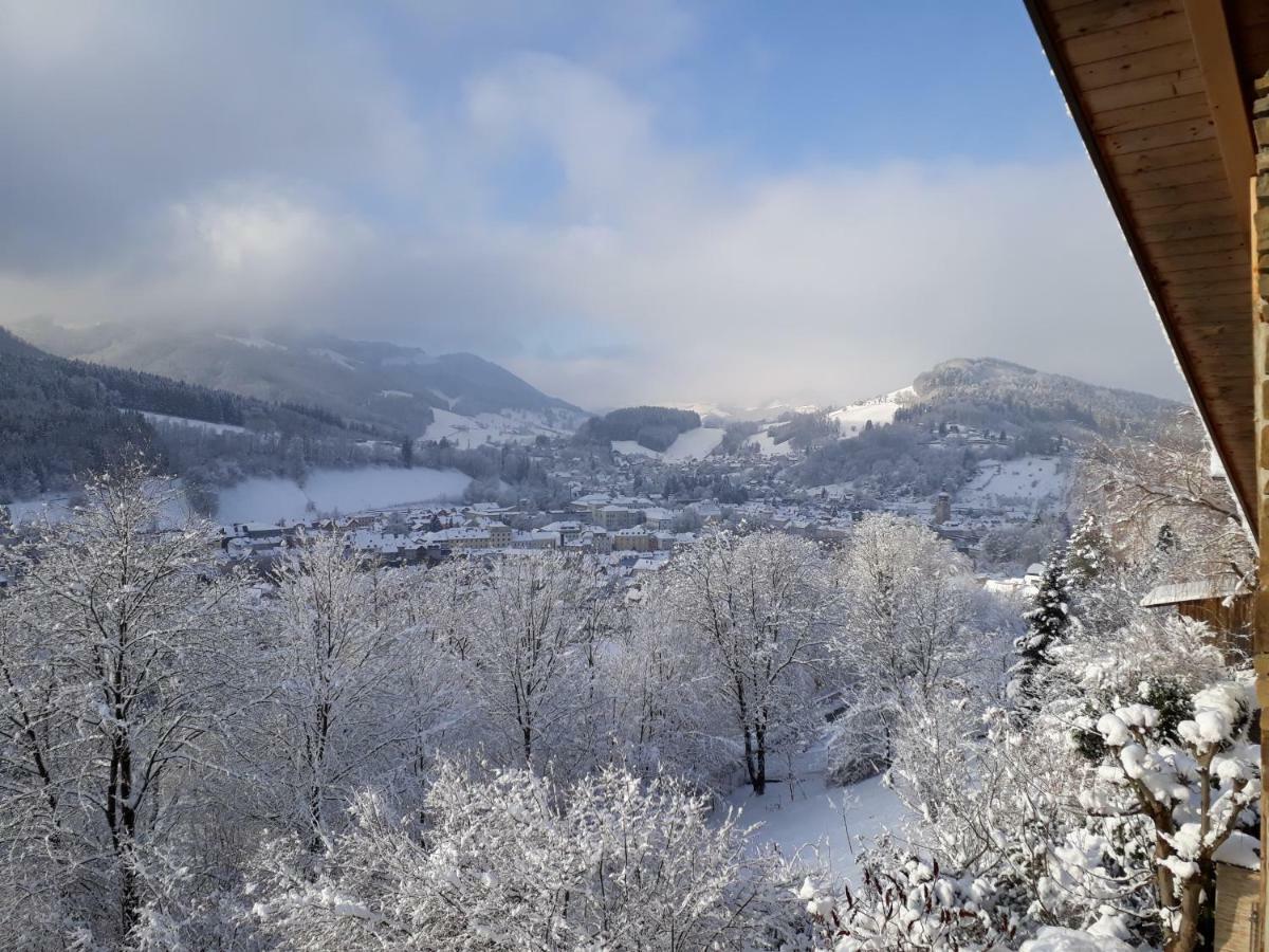 Appartement Kohlnberger Waidhofen an der Ybbs Zewnętrze zdjęcie